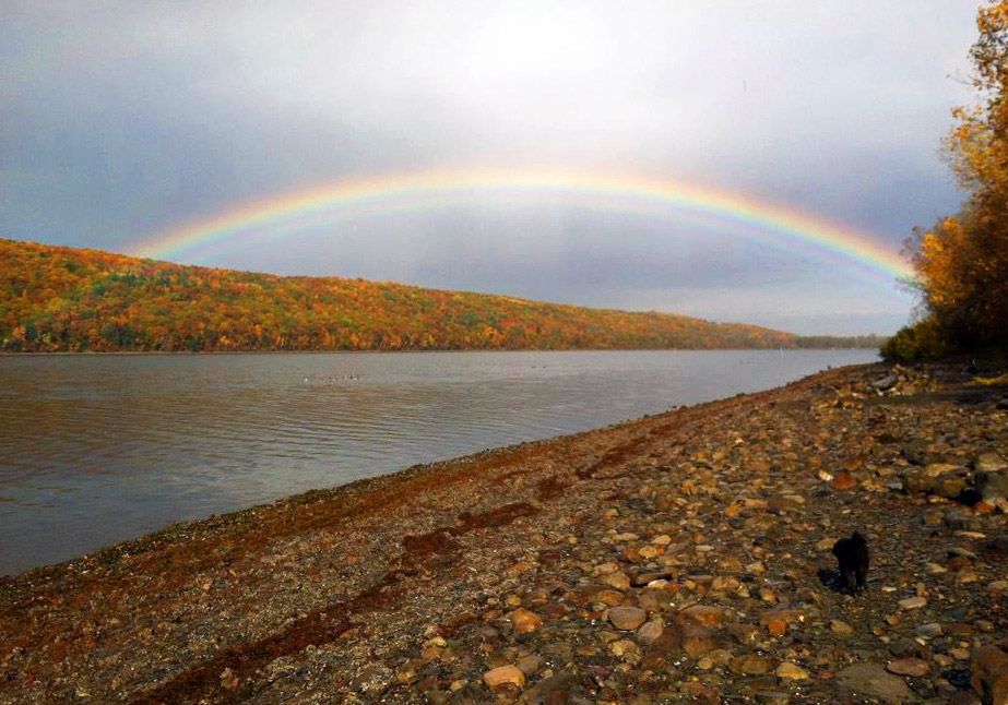 In Harmony with Nature