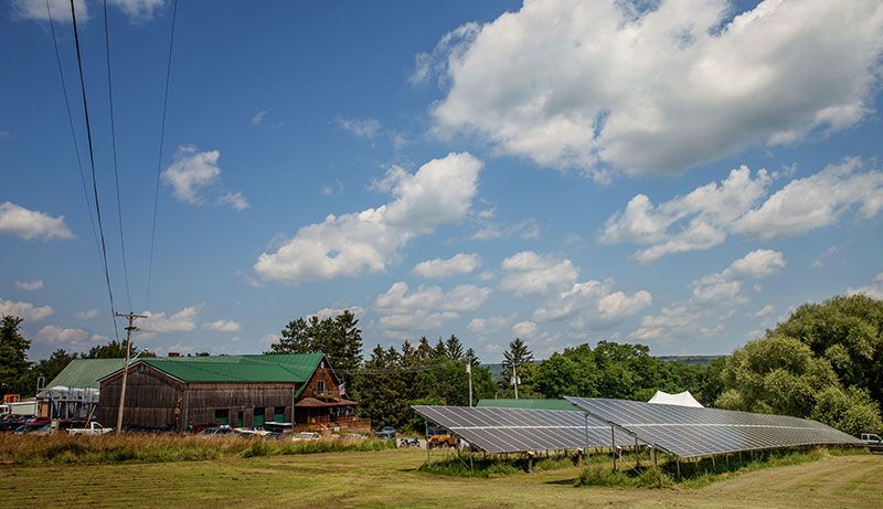 Sustainability